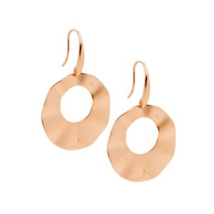Stainless Steel Open Wave Disc Hook Earrings