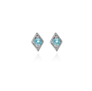 Sterling Silver Blue Topaz Stud Earrings