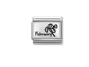 Nomination Charm Silver February Birthflower