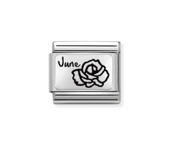 Nomination Charm Silver June Birthflower
