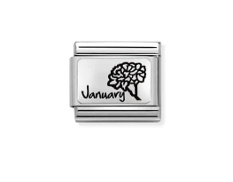Nomination Charm Silver January Birthflower