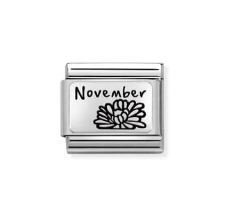 Nomination Charm Silver November Birthflower