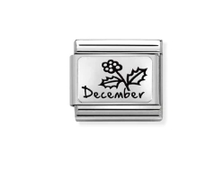 Nomination Charm Silver December Birthflower