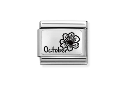 Nomination Charm Silver October Birthflower