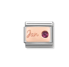 Nomination Charm 9k Rose Gold January Birthstone