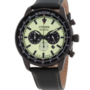 Citizen Luminous Eco-Drive Watch